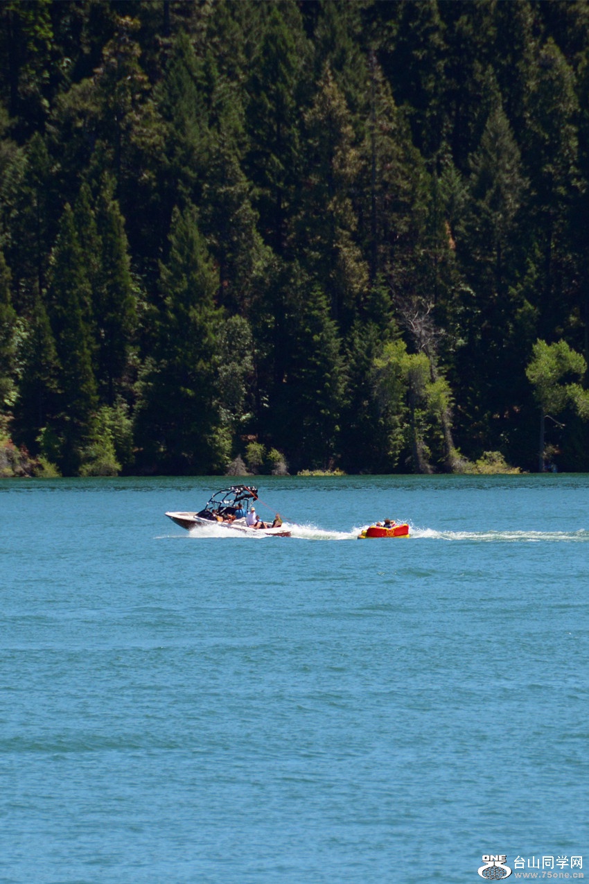 DSC_1801_48.jpg
