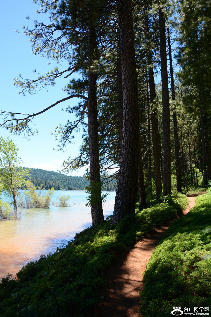 DSC_1928_39.jpg
