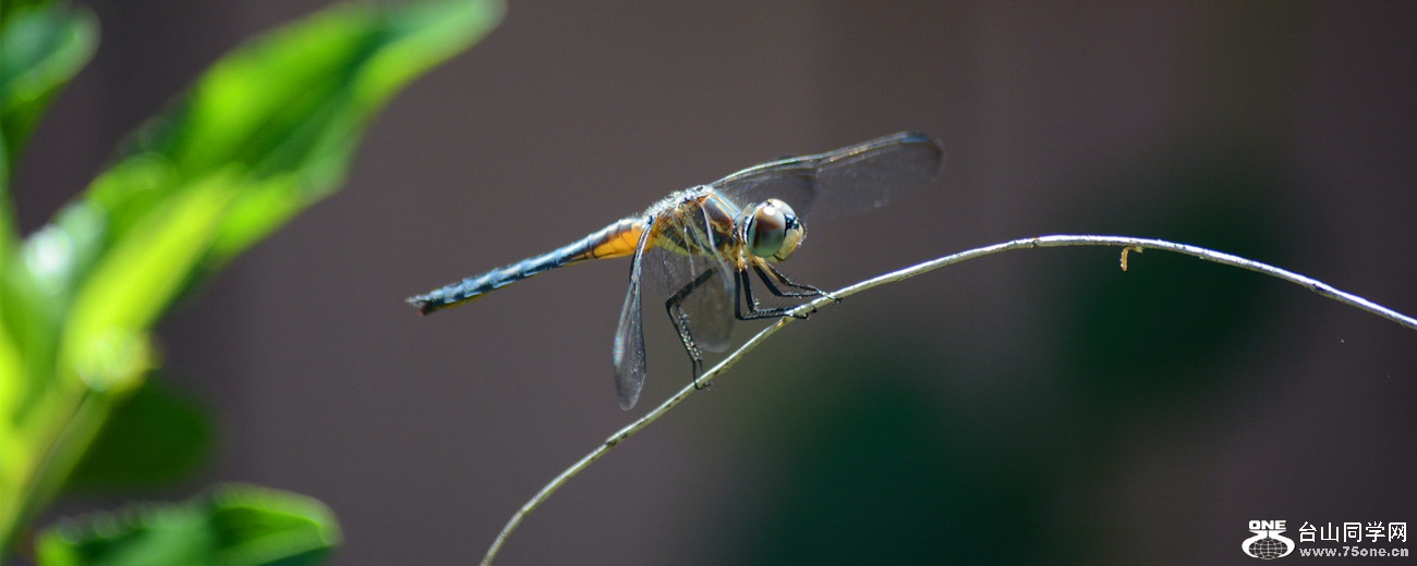 DSC_3683_21.jpg