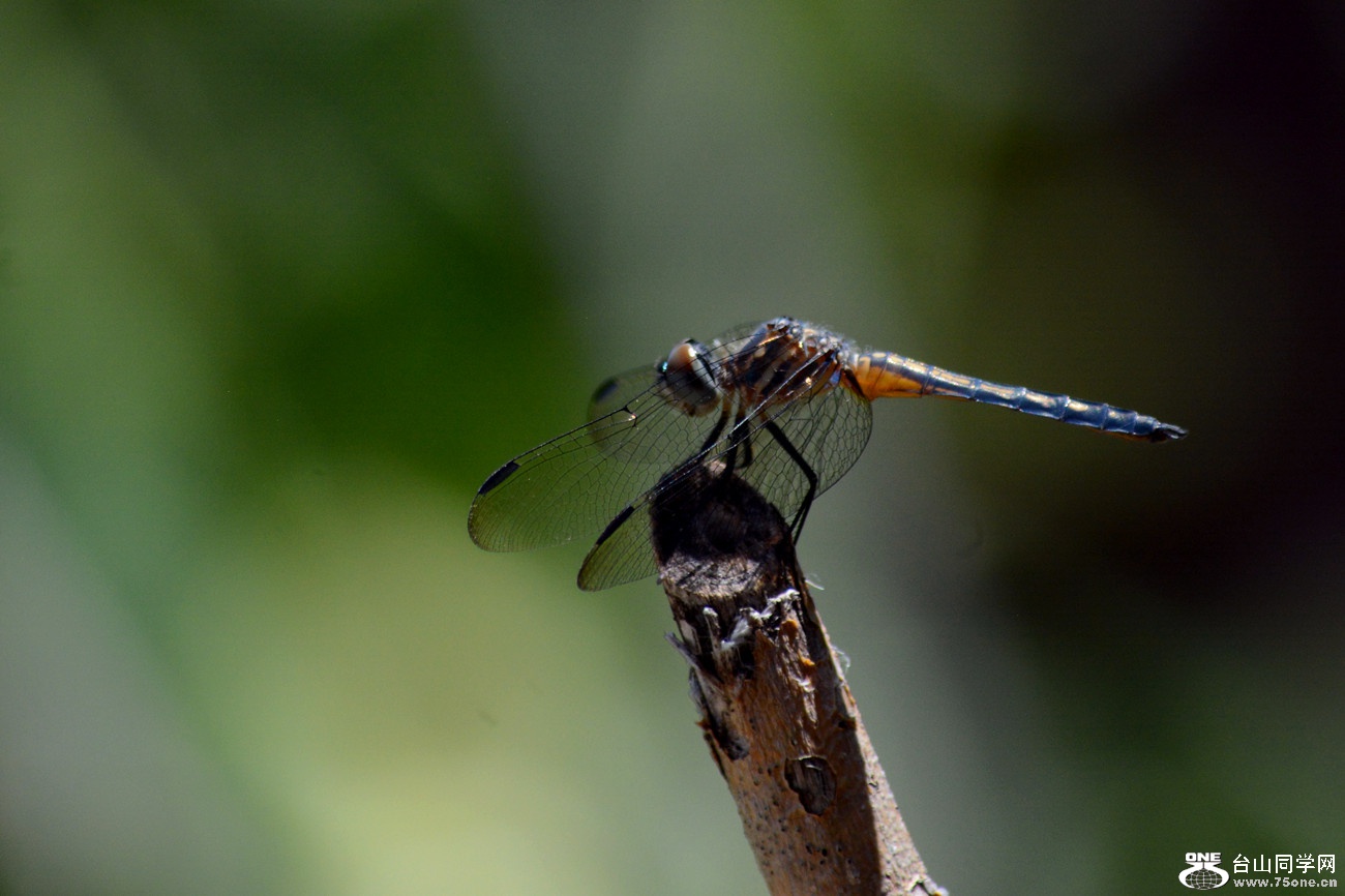DSC_3649_16.jpg