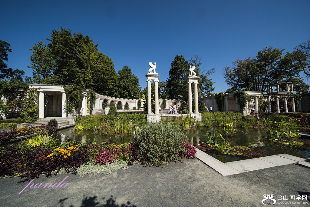 DSC_9159.jpg