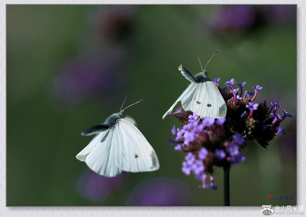 �}�u -3N9A2478-2.jpg