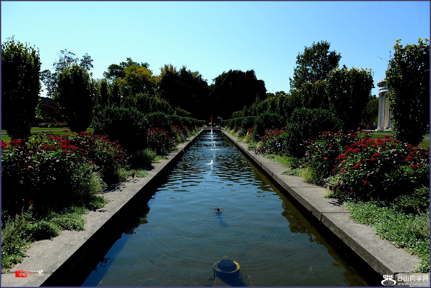 DSC_5963.jpg