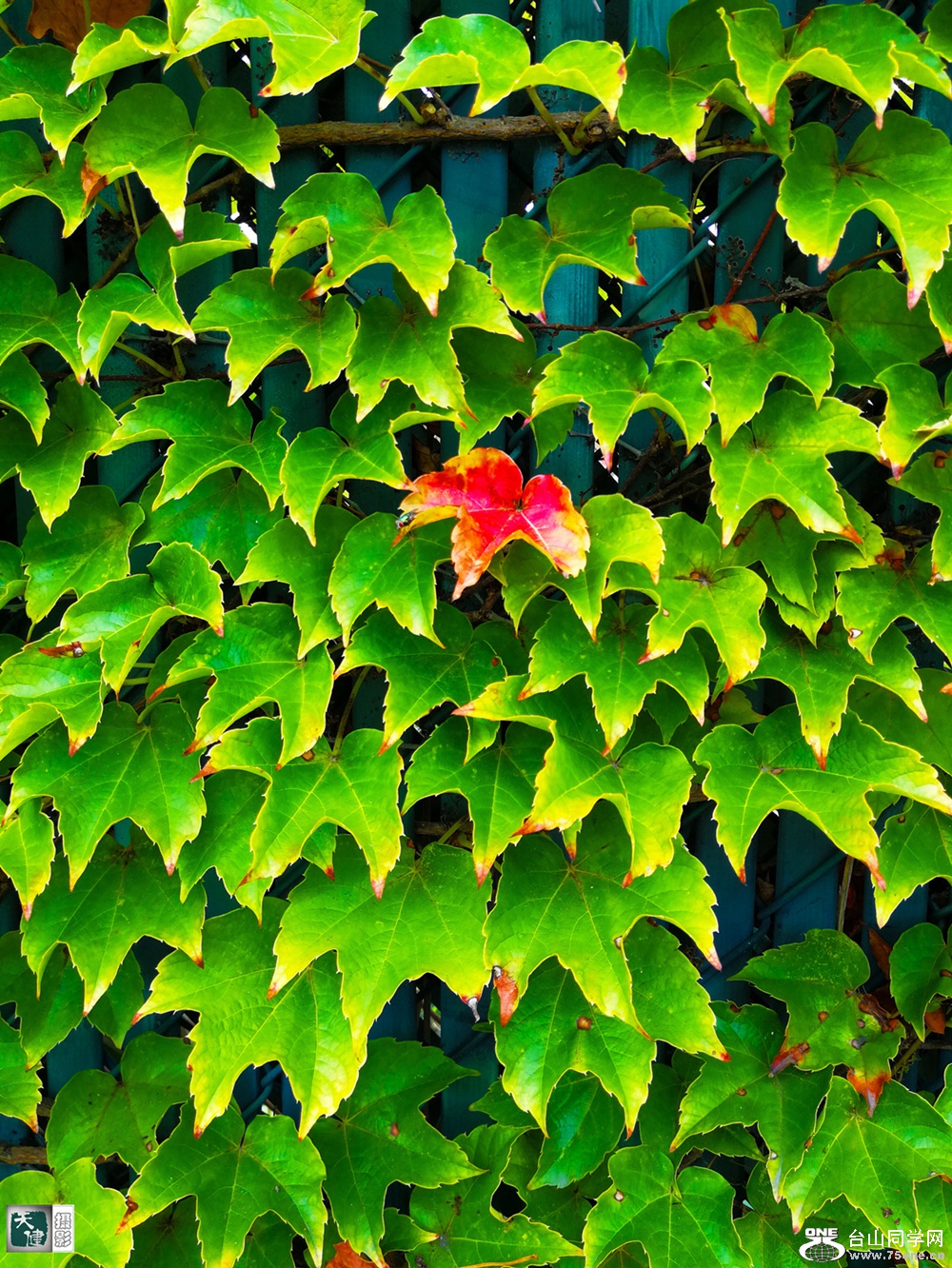 IMG_20170903_164800 (2)_����.jpg