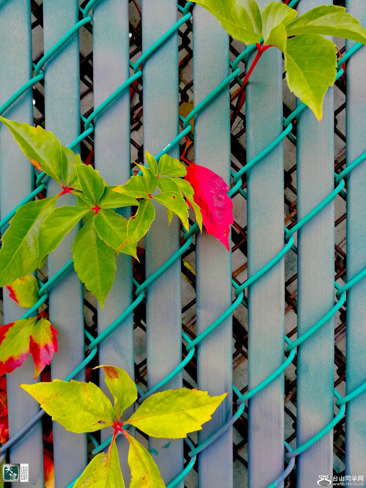 IMG_20170903_162001 (2)_����.jpg