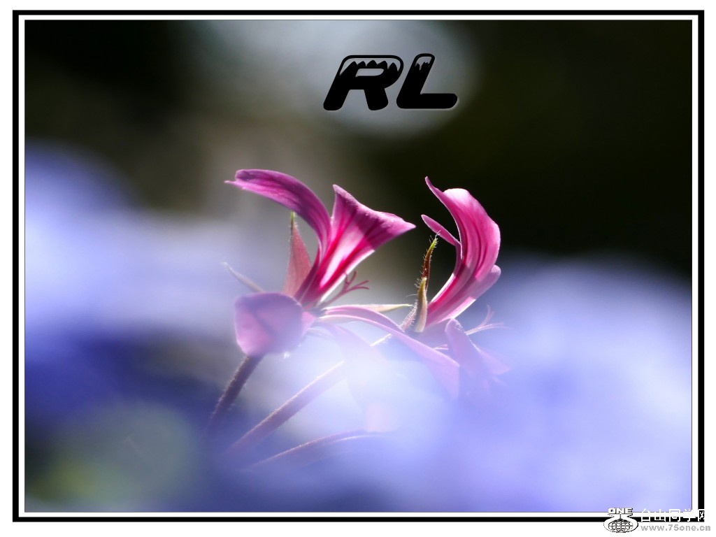 l3030439_conew3.jpg