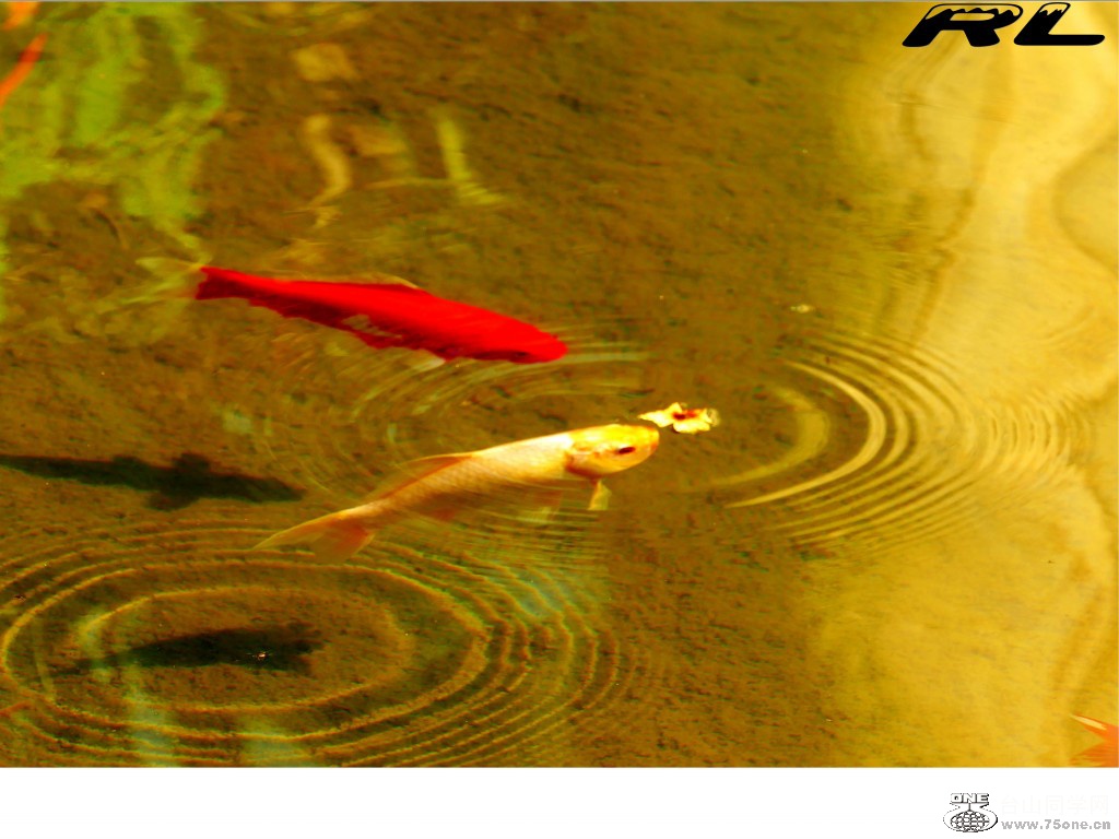 l3040345_conew2.jpg