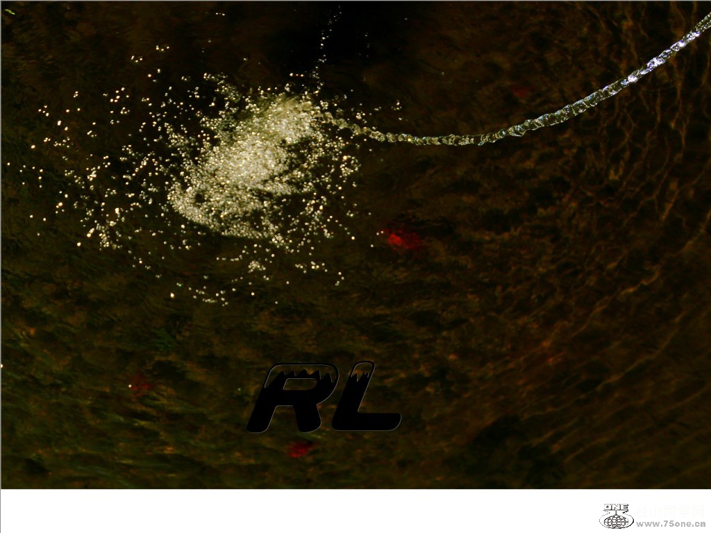 l3040244_conew2.jpg