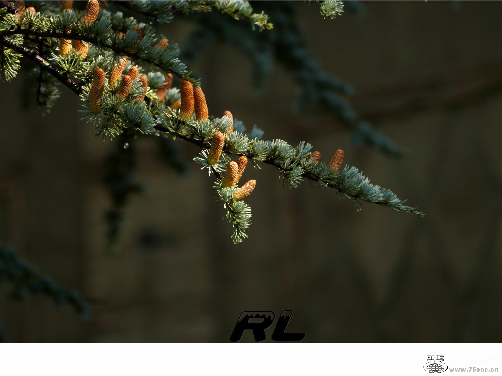 L3040162_conew1.jpg