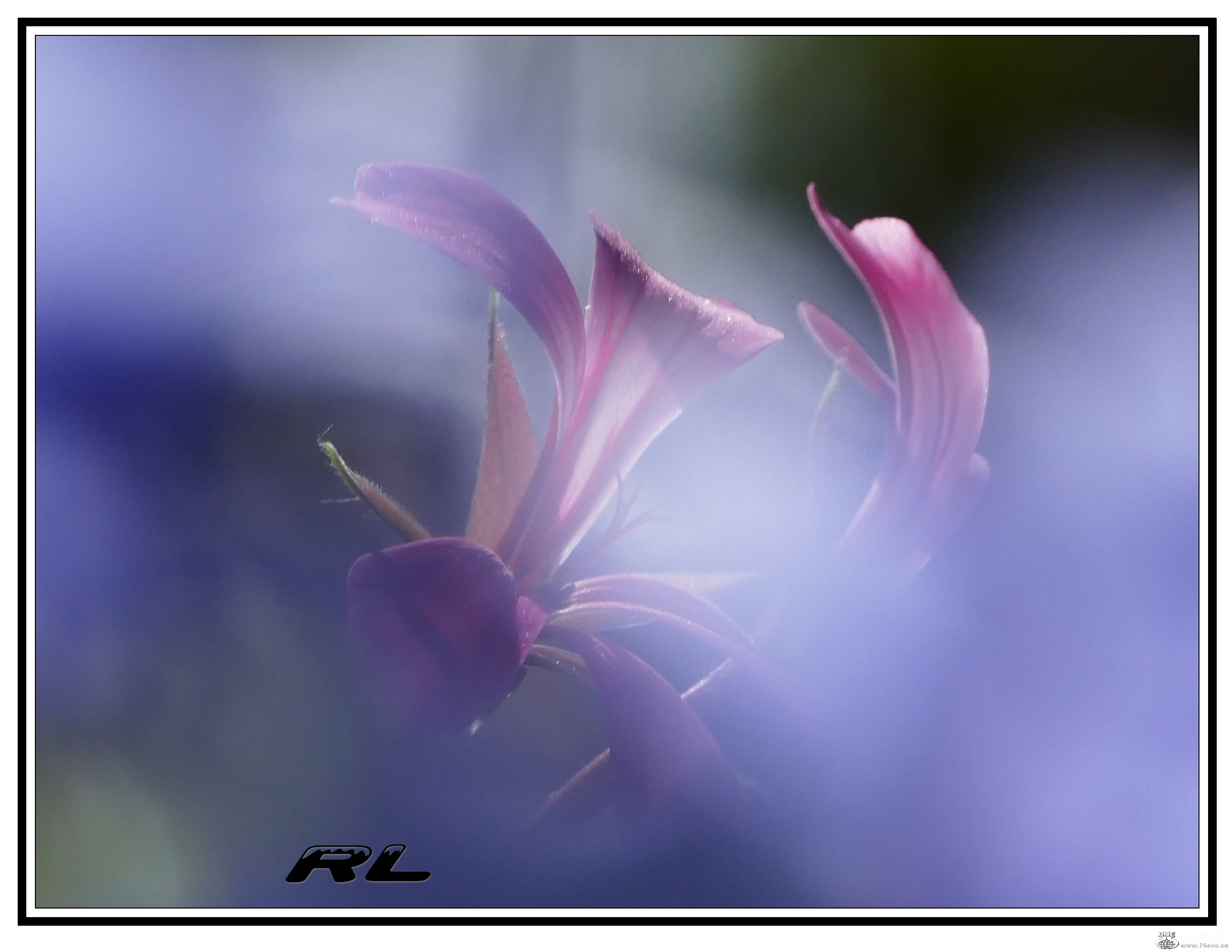 L3030436_conew3.jpg