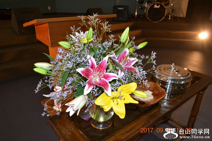 DSC_1937.jpg