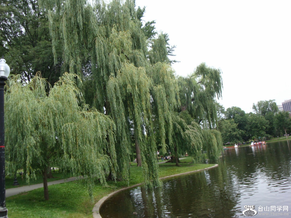 DSC05377.jpg