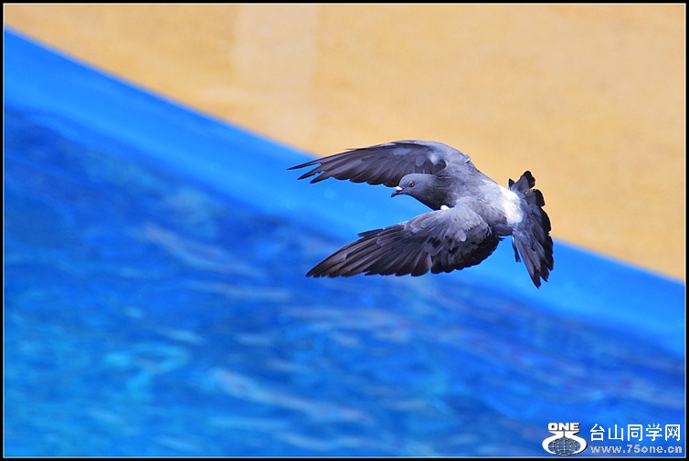 DSC_2811.JPG
