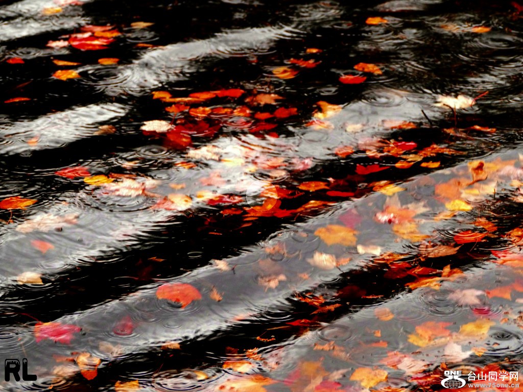 l3050757_conew3.jpg