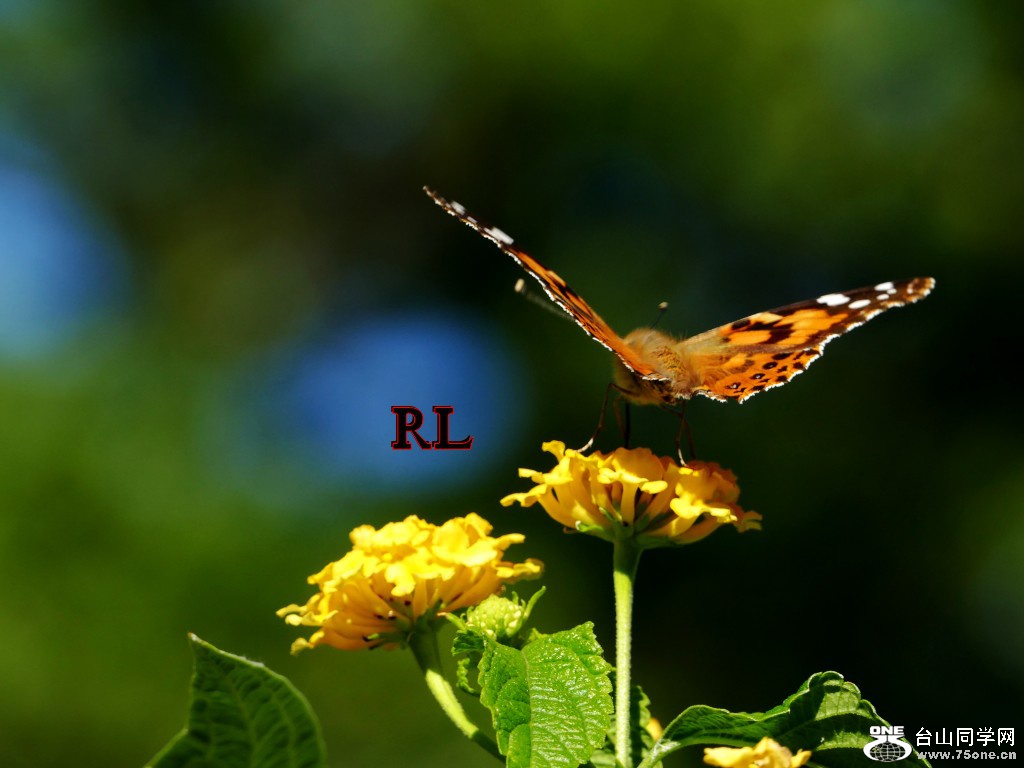 L3080165_conew1.JPG