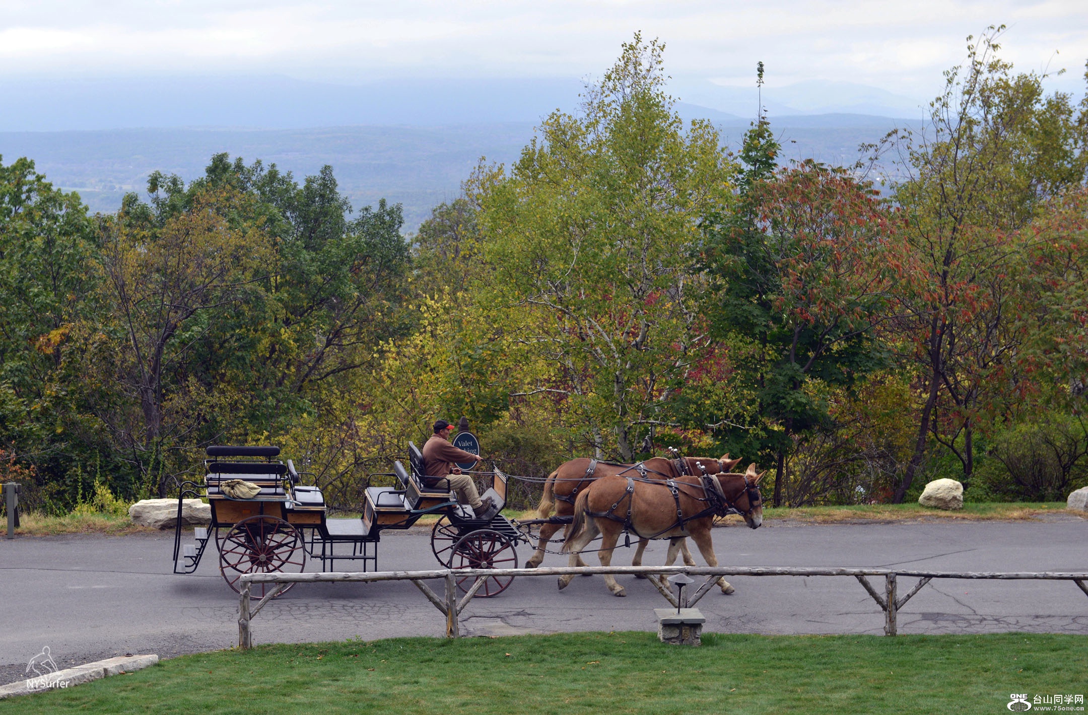 DSC_71395.jpg