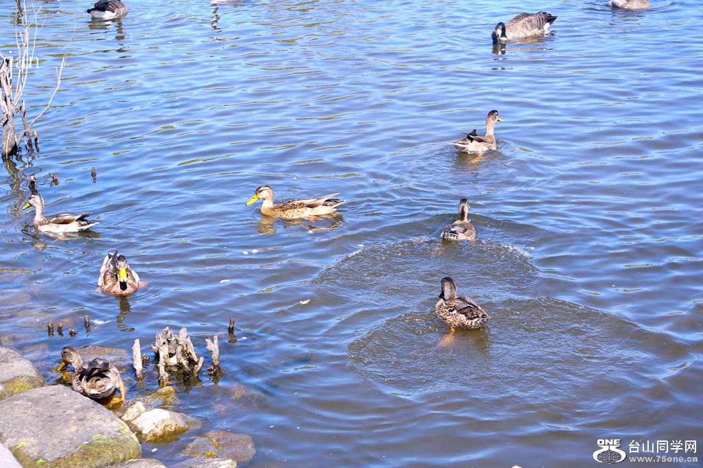 DSC05166.JPG