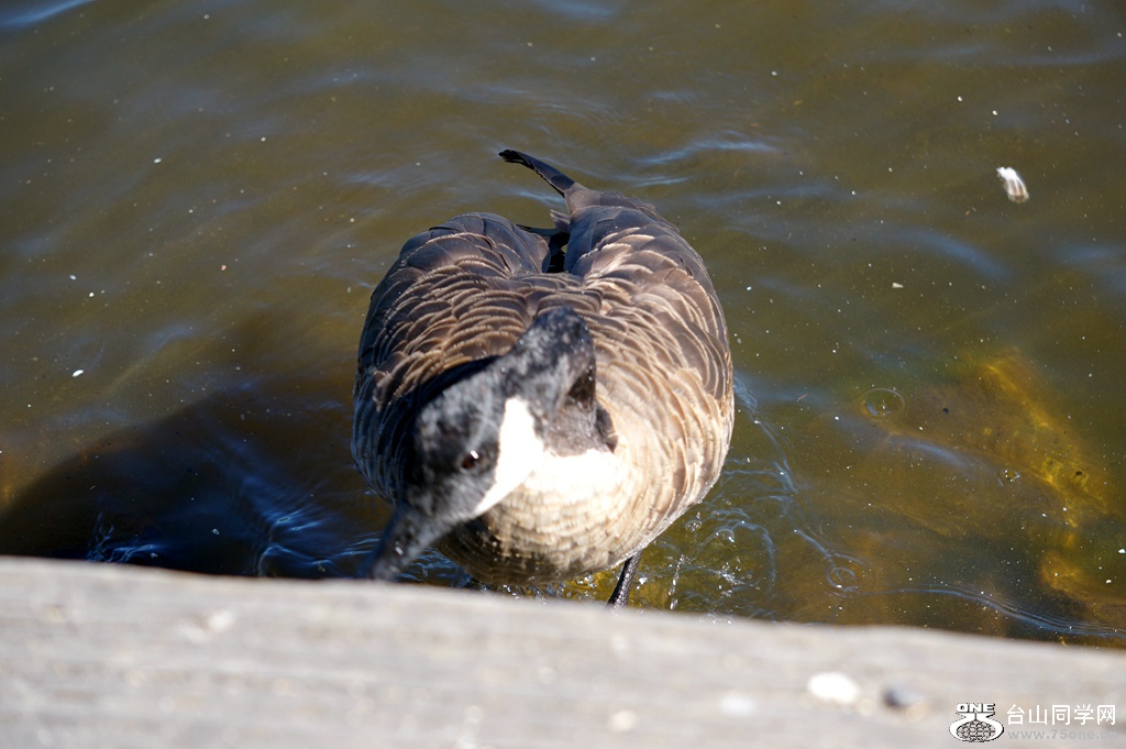 DSC05168.JPG