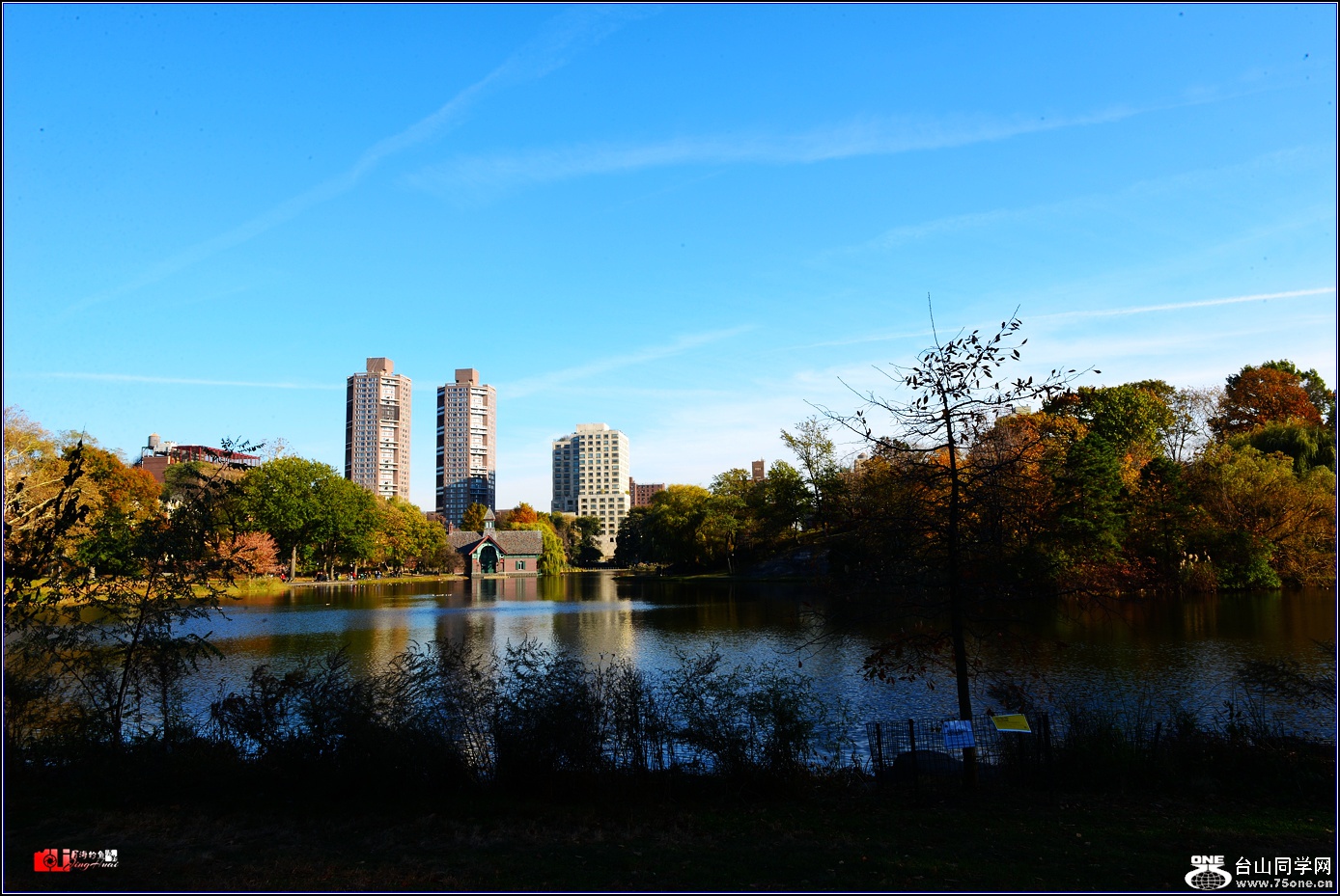DSC_4629.jpg