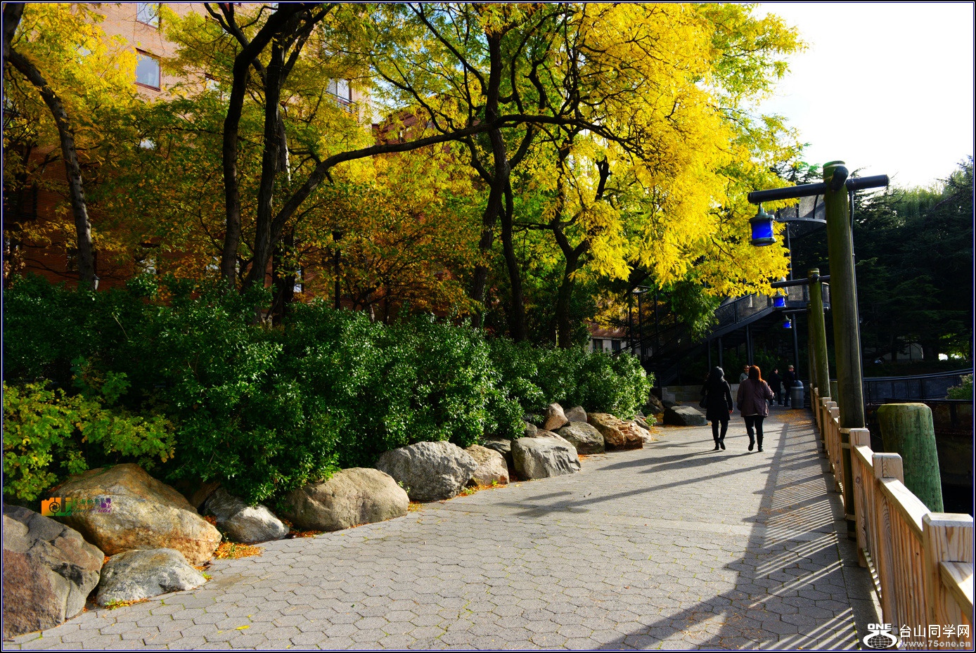 DSC_2664-2_.jpg