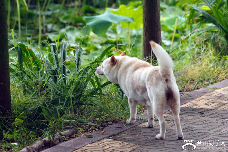 ����ȥ������