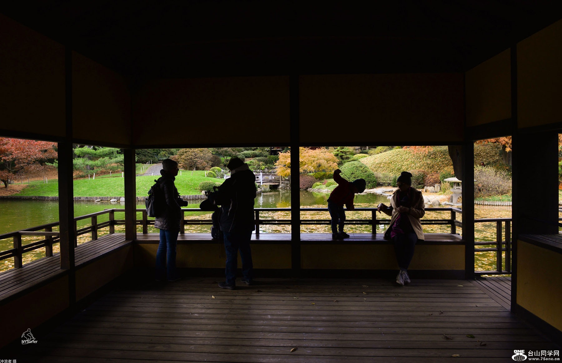 DSC_01606.jpg