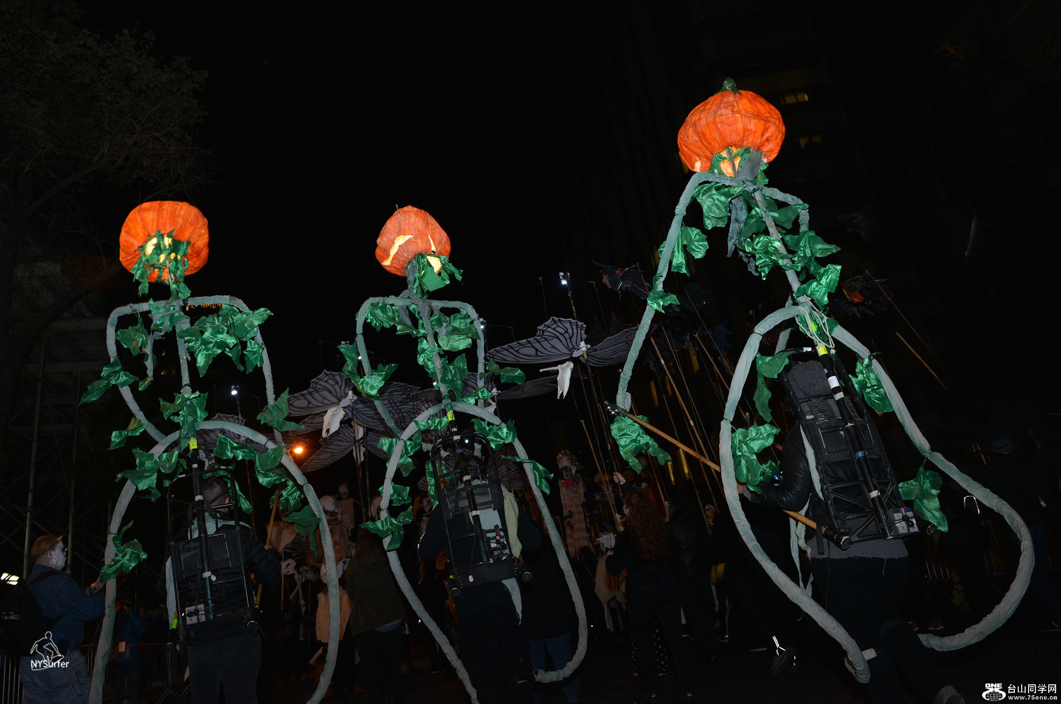DSC_81784.jpg