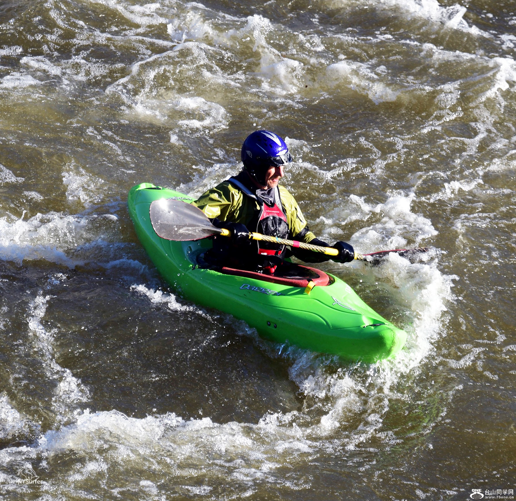 DSC_31185.jpg