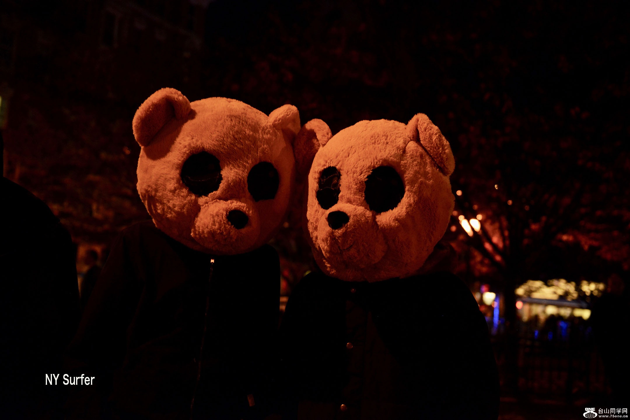 DSC_91151.jpg