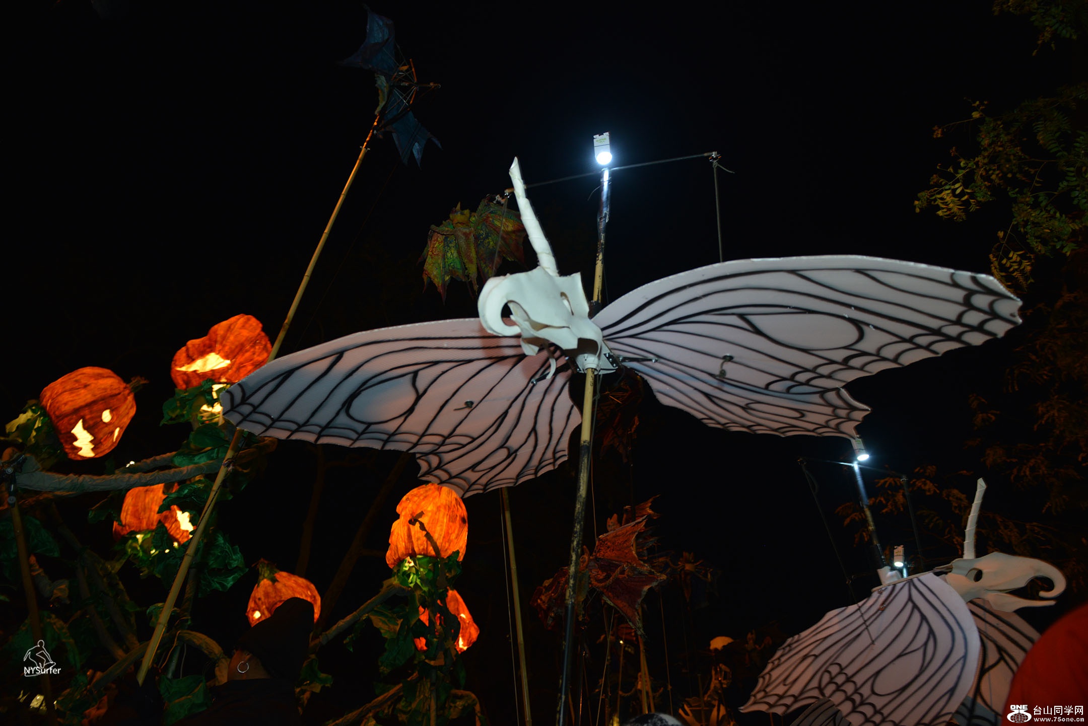 DSC_81647 2.jpg