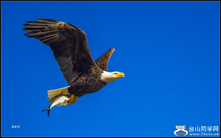 DSC_5686_.jpg