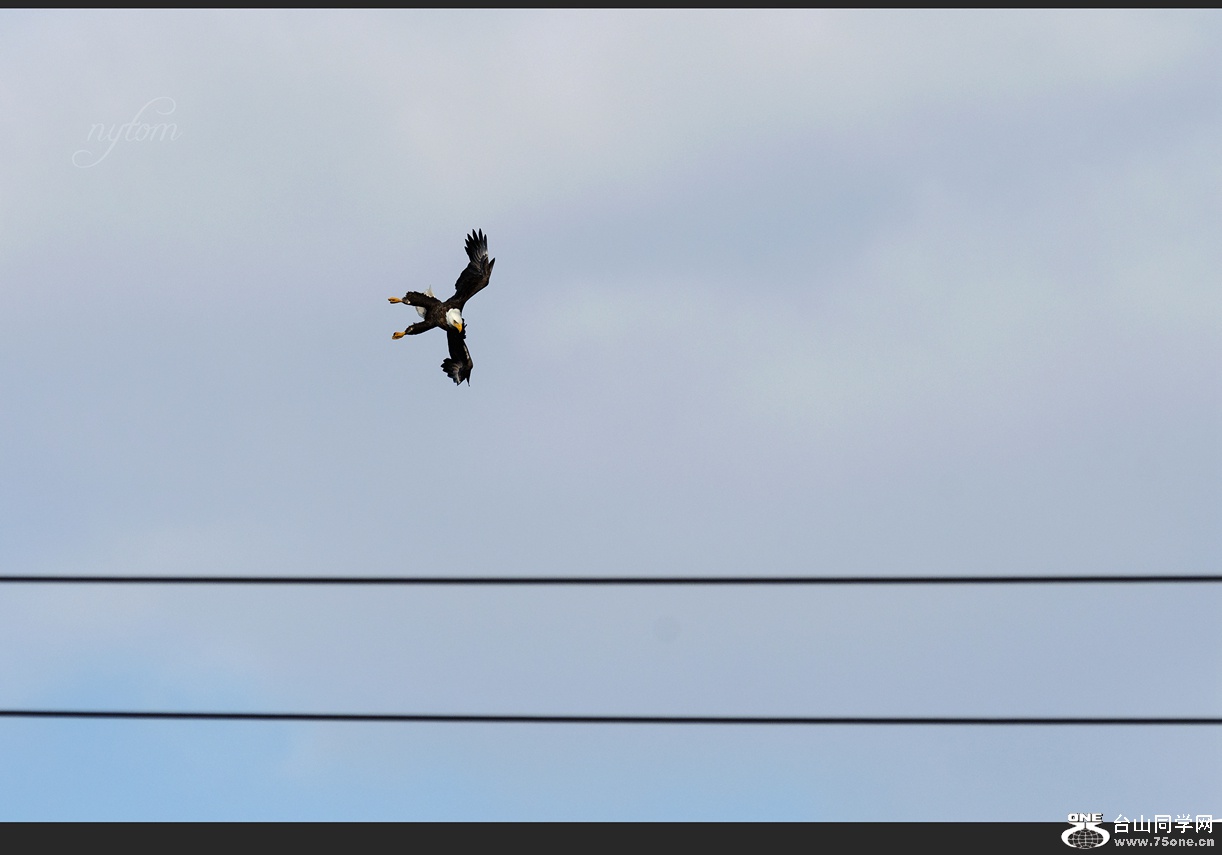 DSC_0073_.jpg