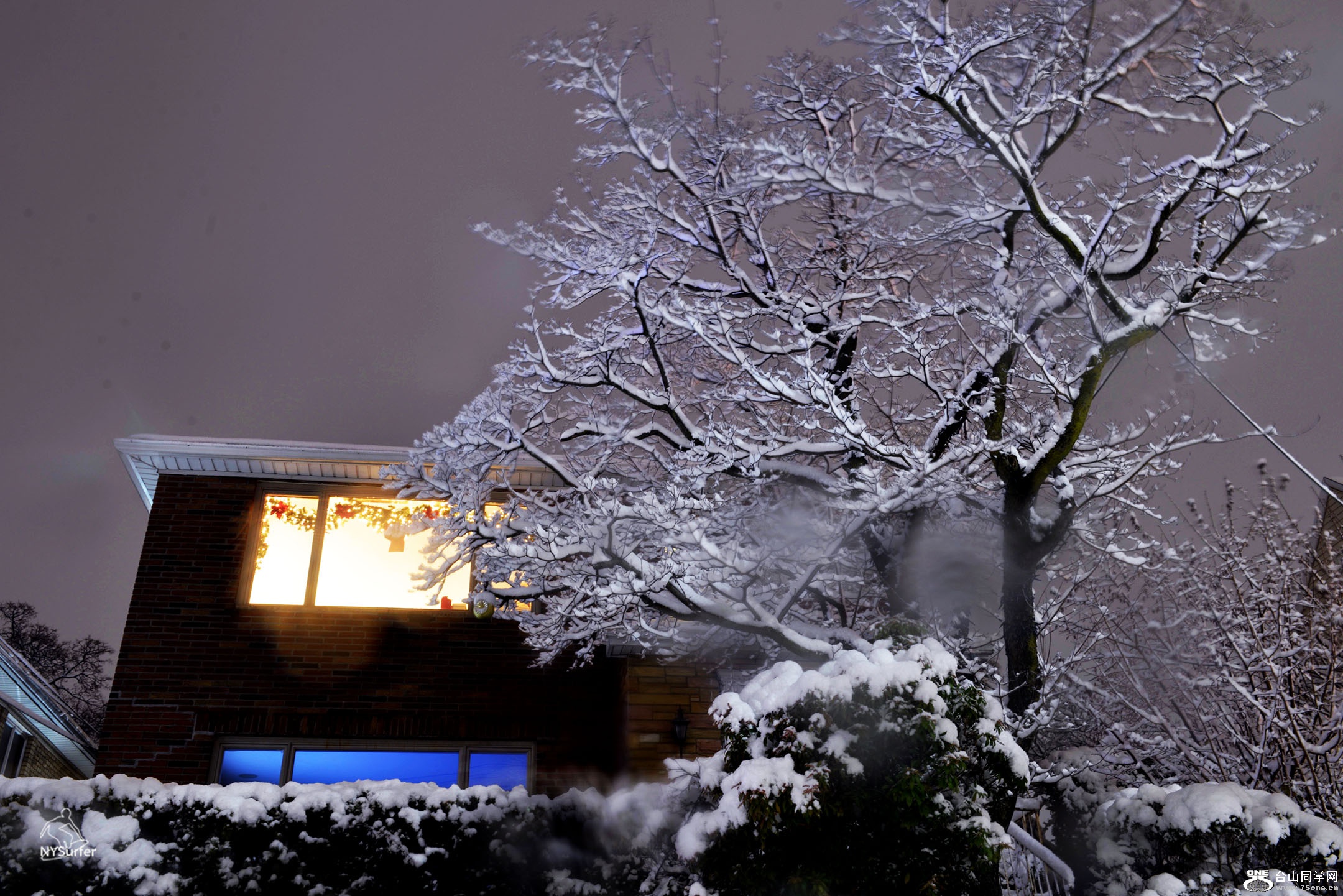 DSC_31432.jpg