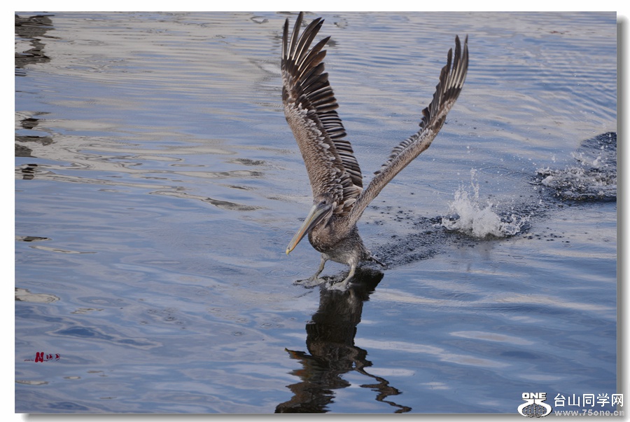 02 (488)_����.jpg