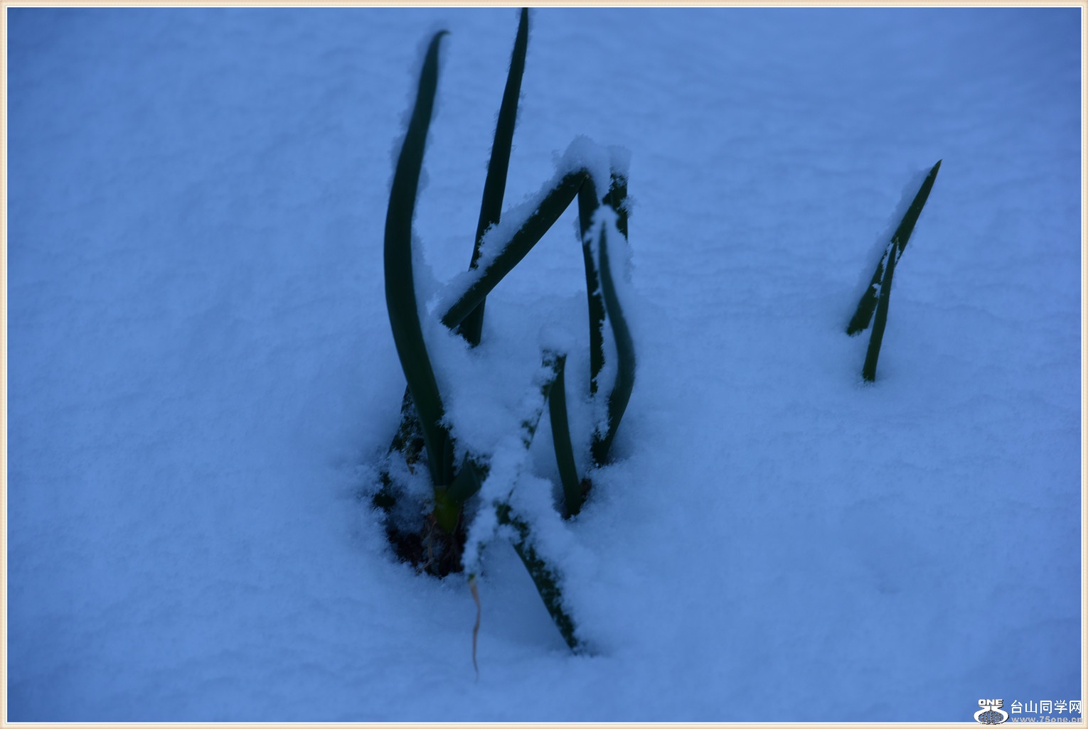 DSC_9126.jpg