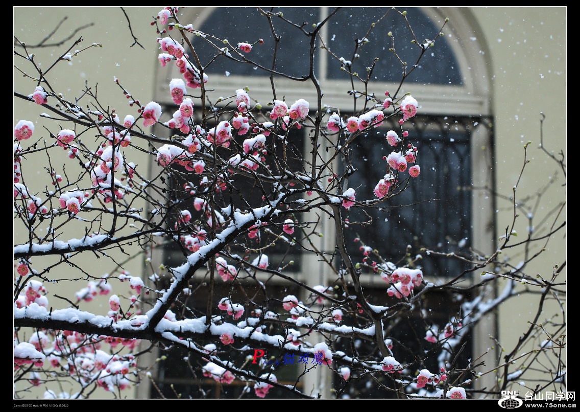 3N9A5826 - �}�u.jpg