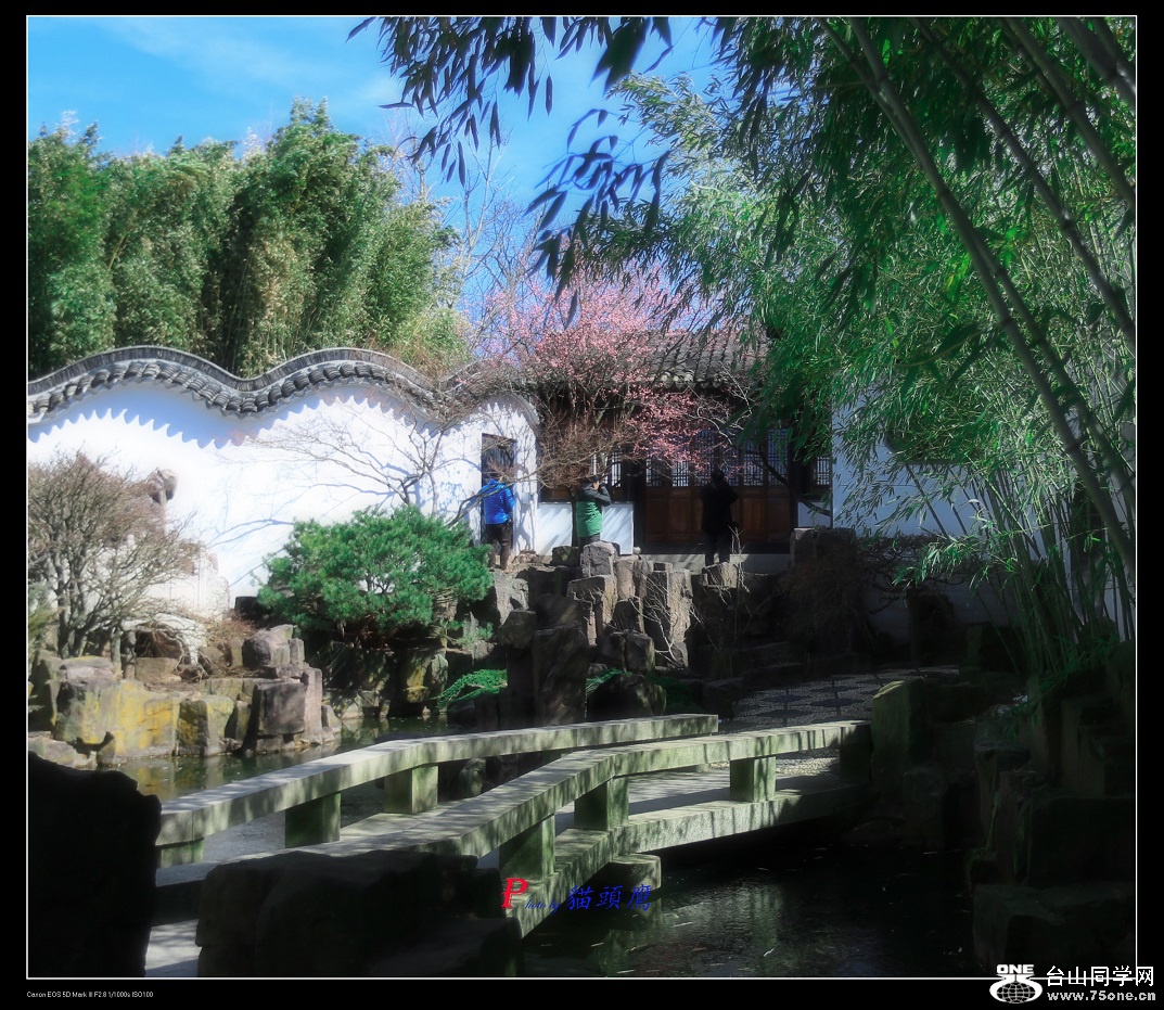 3N9A5701- - �}�u.jpg