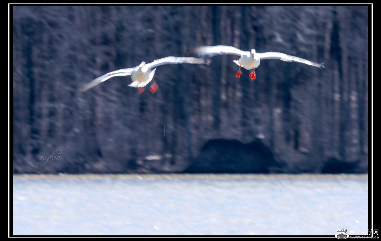 DSC_5688._.jpg