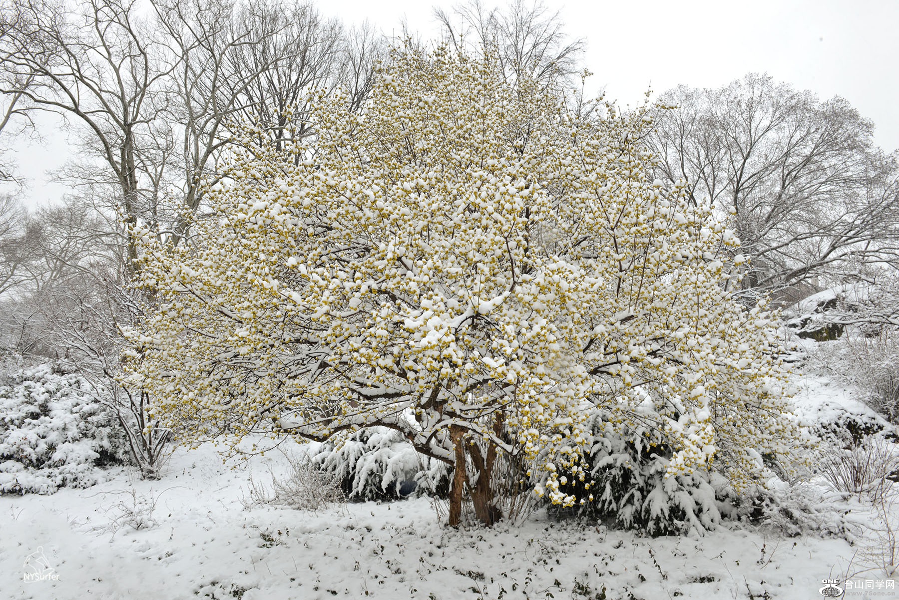 DSC_01882.jpg