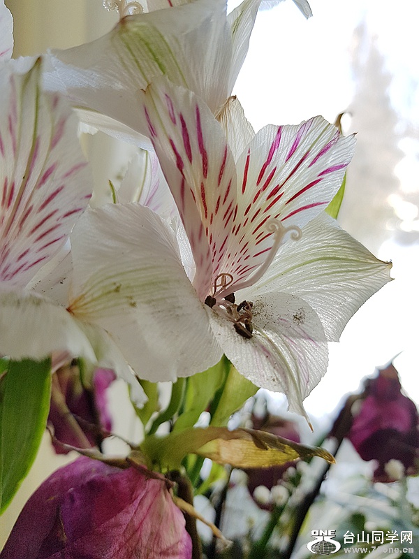 20180216_152636.jpg