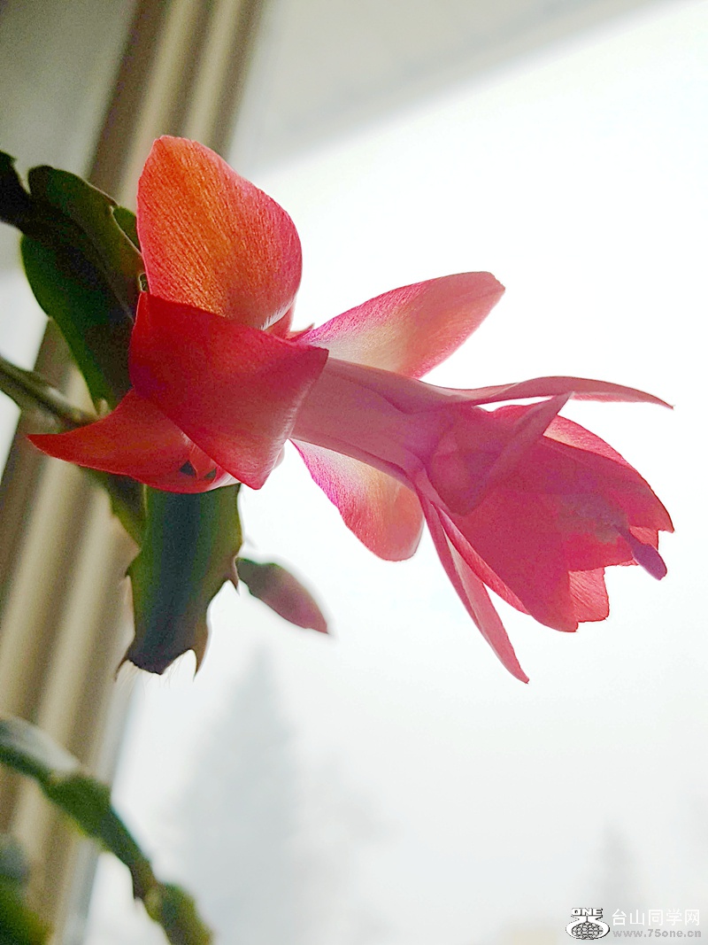 20180303_115725.jpg