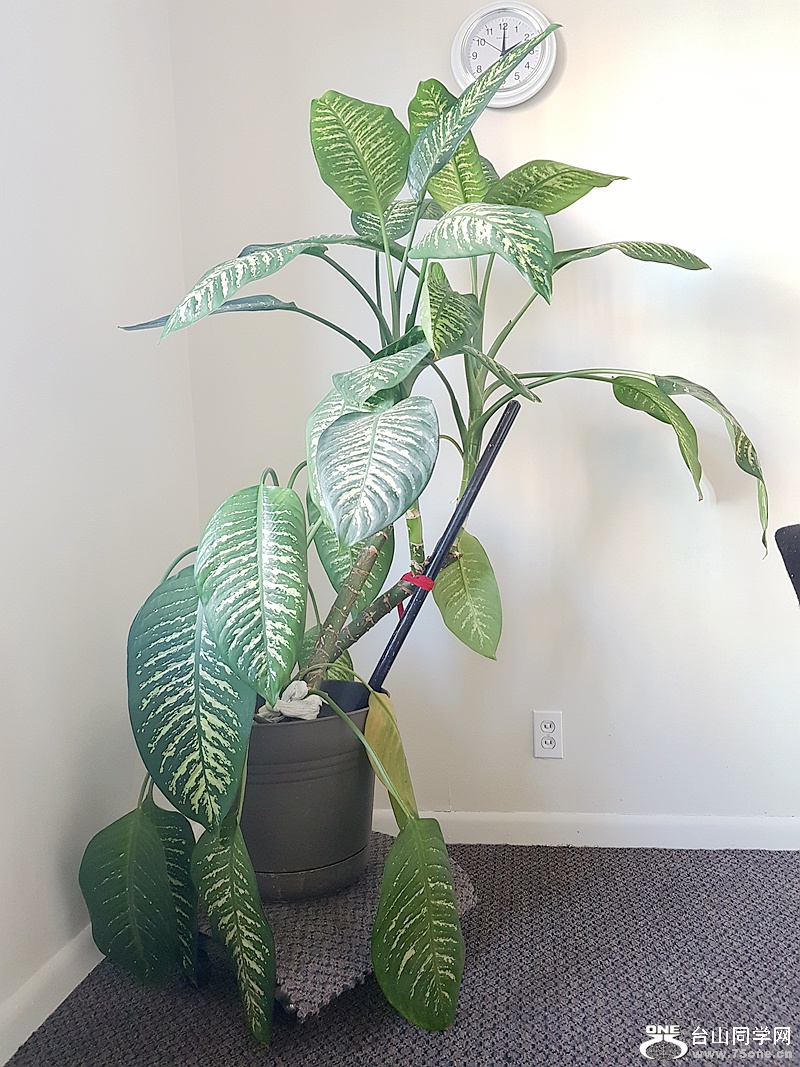 20180302_140127.jpg