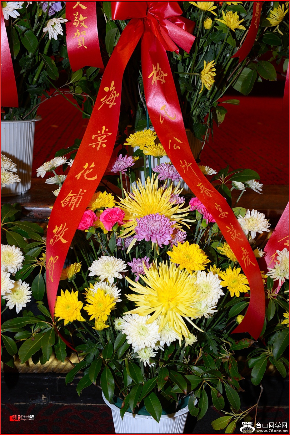 DSC_9159.jpg