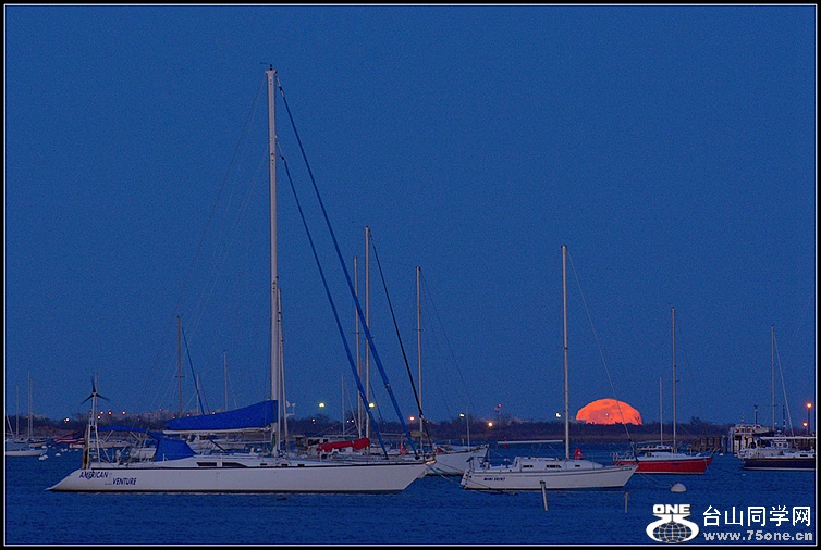 DSC_6565.JPG