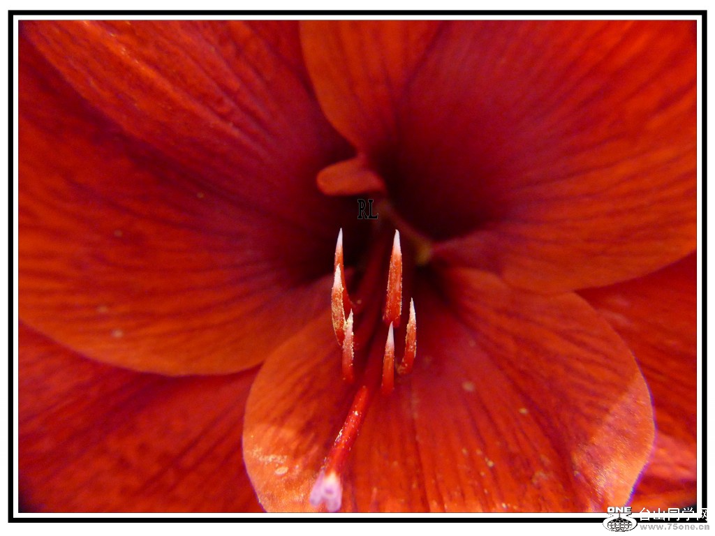 L3090689_conew1.jpg