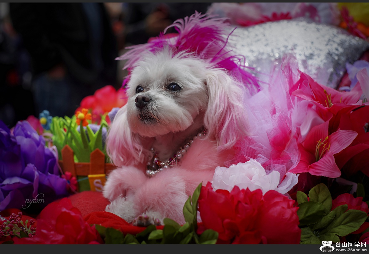 DSC02014_.jpg