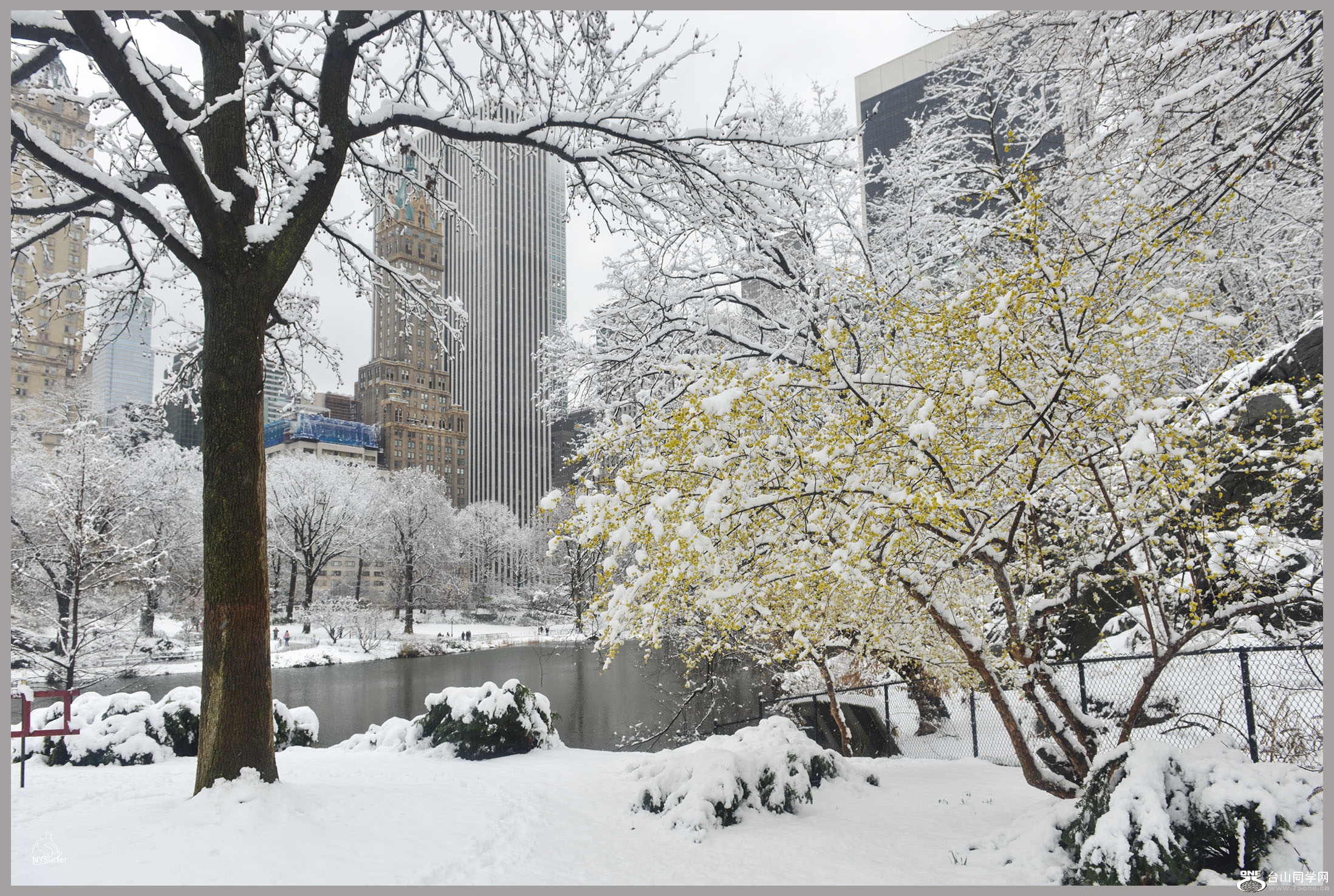 DSC_21156.jpg