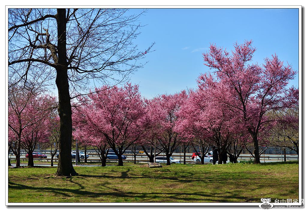 2018.04.09 135_����.jpg