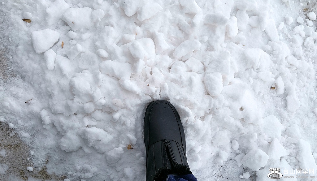 20170307_155003_HDR~2.jpg