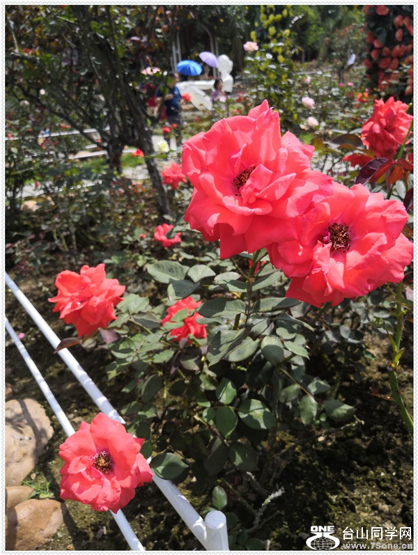 25IMG_20180506_104221.jpg